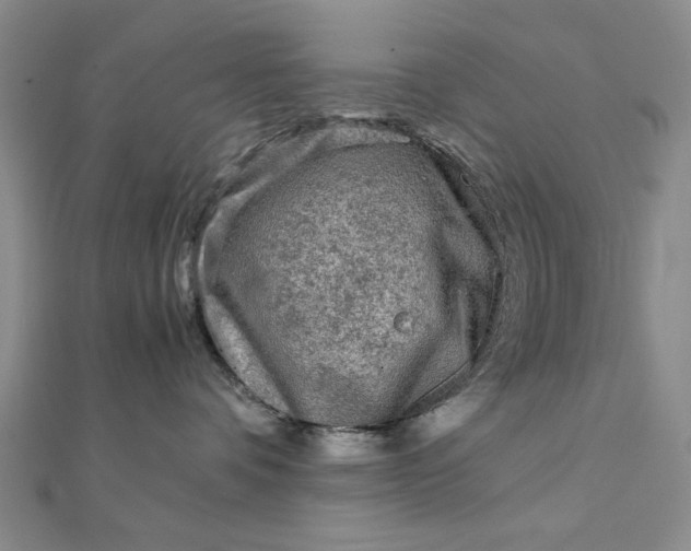 X0000111900336200908101145