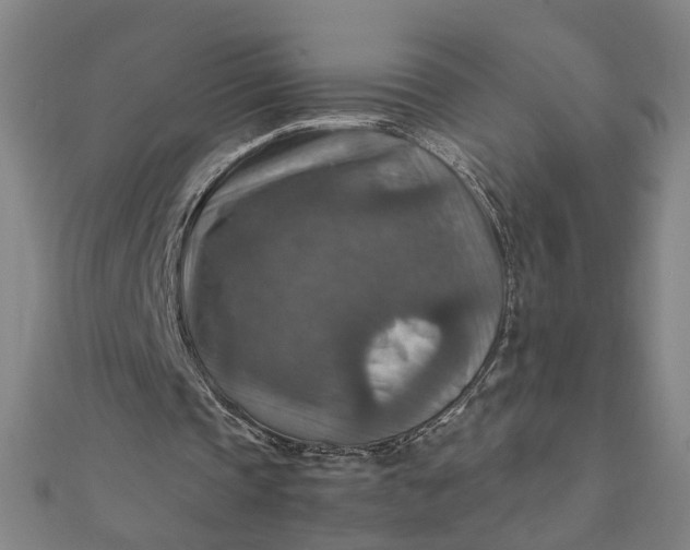 X0000111900337200908101144