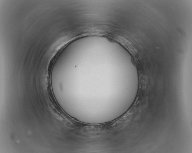 X0000111900338200908101144