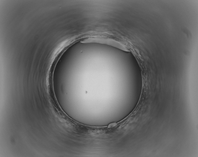 X0000111900340200908101144