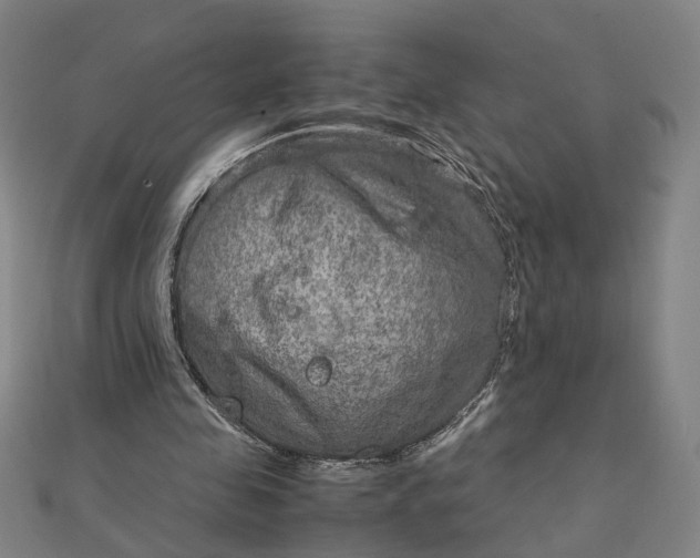 X0000111900341200908101144