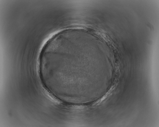 X0000111900342200908101144