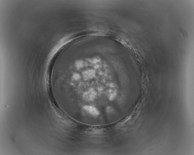 X0000111900343200908101144