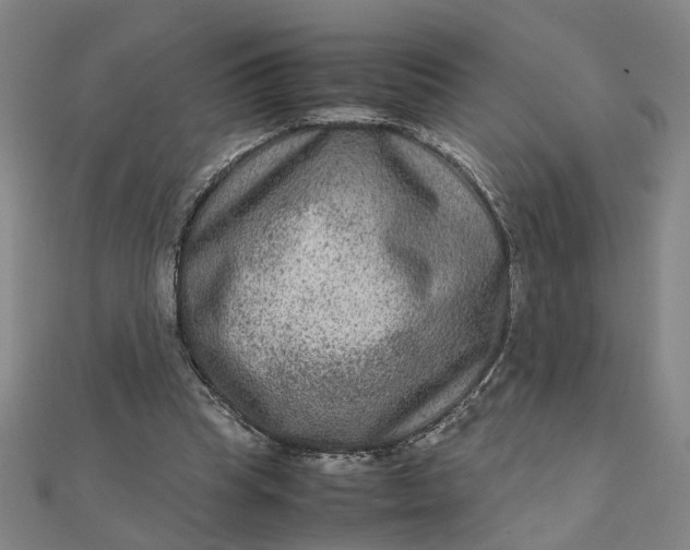 X0000111900345200908101145