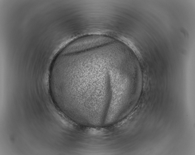 X0000111900346200908101145