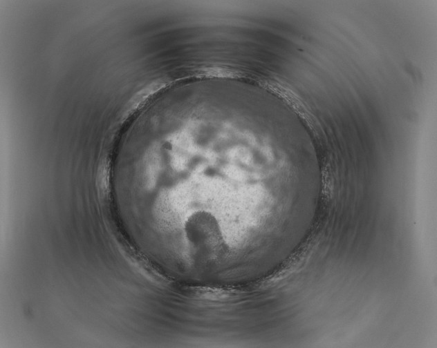 X0000111900347200908101145