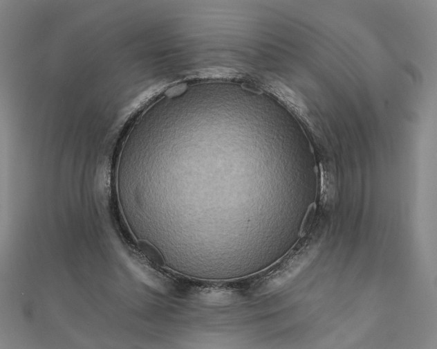 X0000111900348200908101145