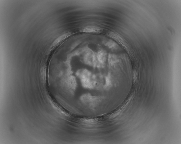 X0000111900349200908101145