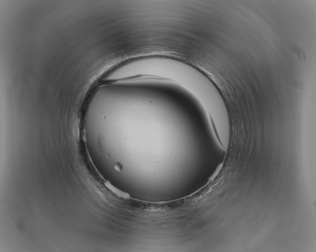 X0000111900350200908101145