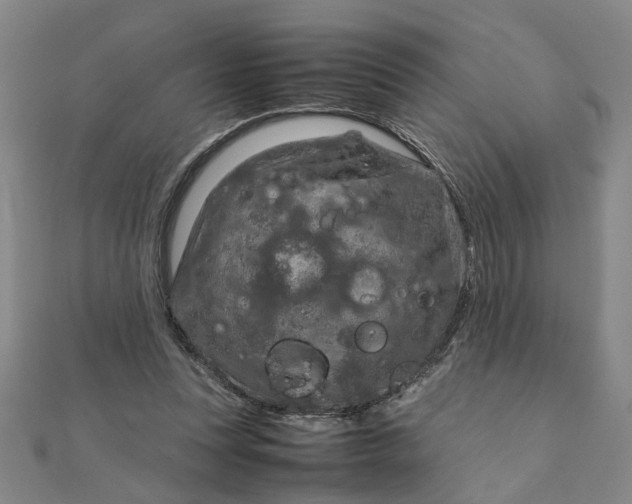 X0000111900351200908101145