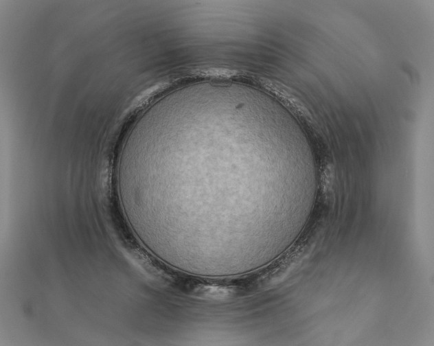 X0000111900352200908101145