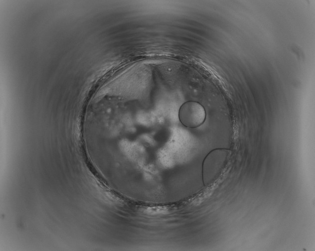 X0000111900353200908101145