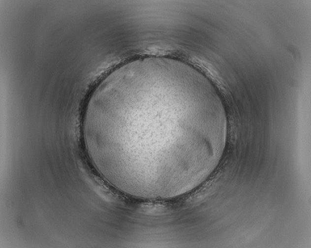 X0000111900354200908101145