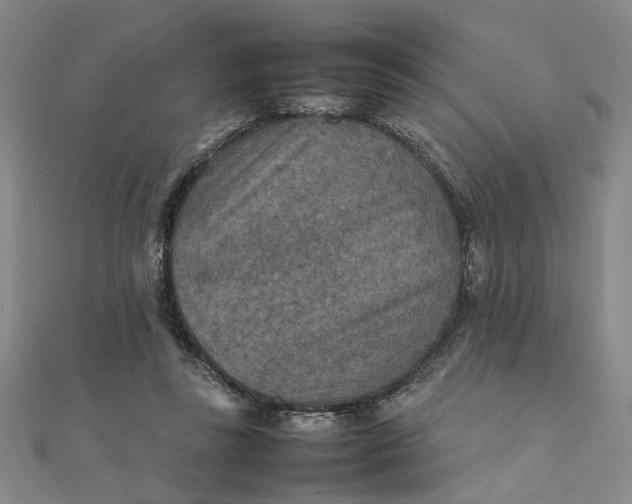 X0000111900355200908101145