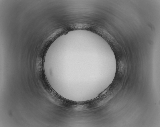 X0000111900356200908101145