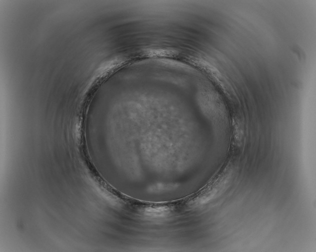 X0000111900357200908101145