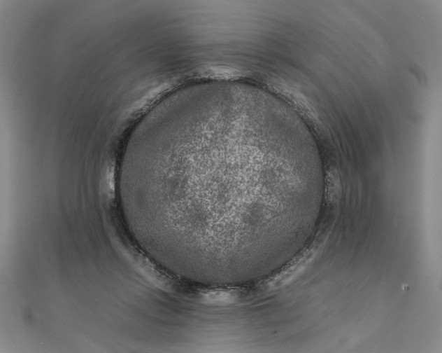 X0000111900358200908101145