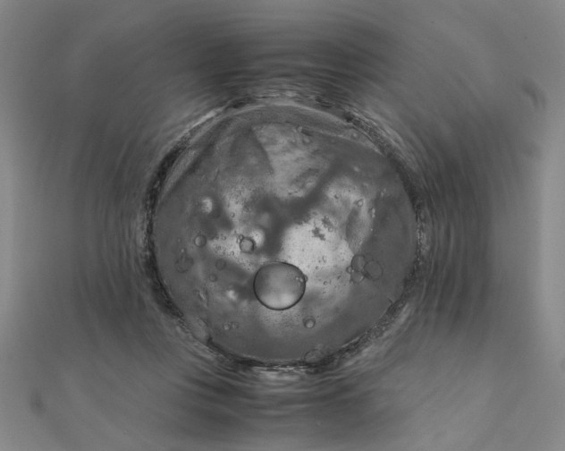 X0000111900359200908101145