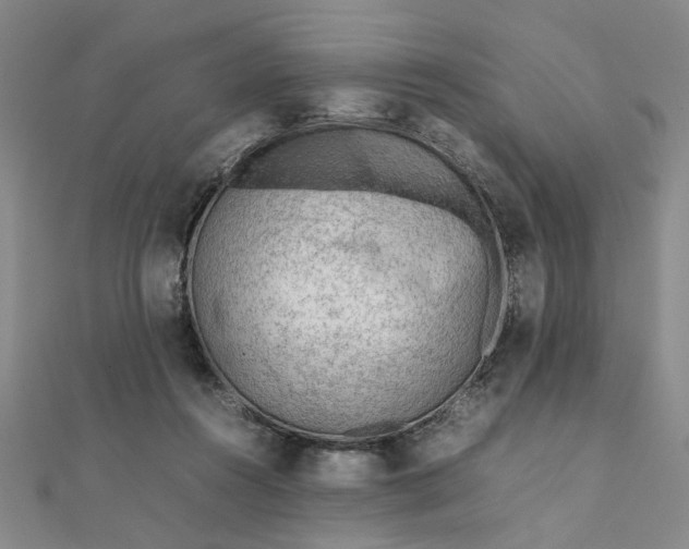 X0000111900360200908101145