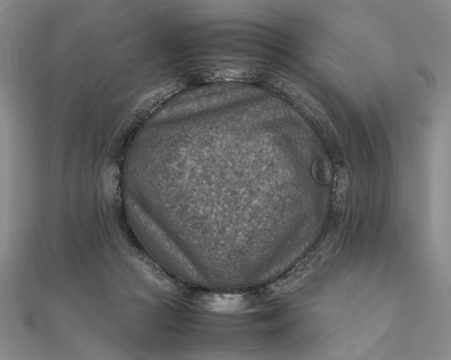 X0000111900361200908101145