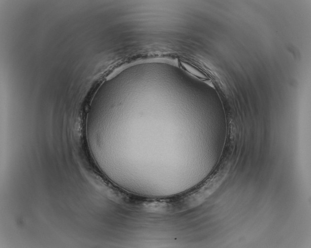 X0000111900362200908101145