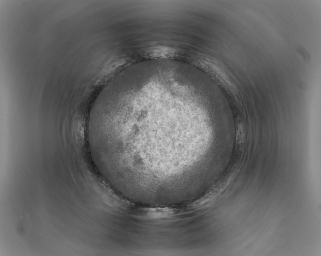 X0000111900363200908101145