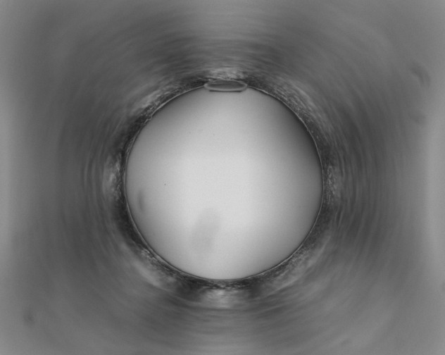 X0000111900364200908101145