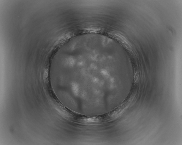 X0000111900365200908101145