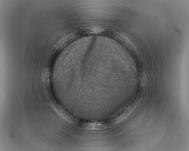 X0000111900366200908101145