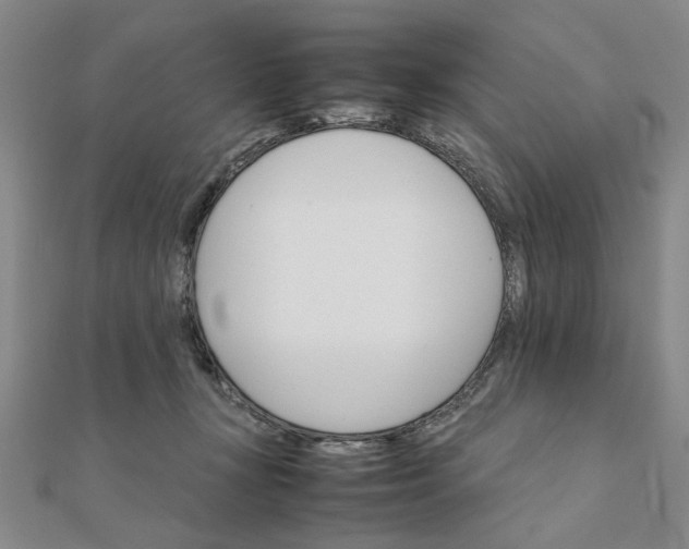 X0000111900367200908101145