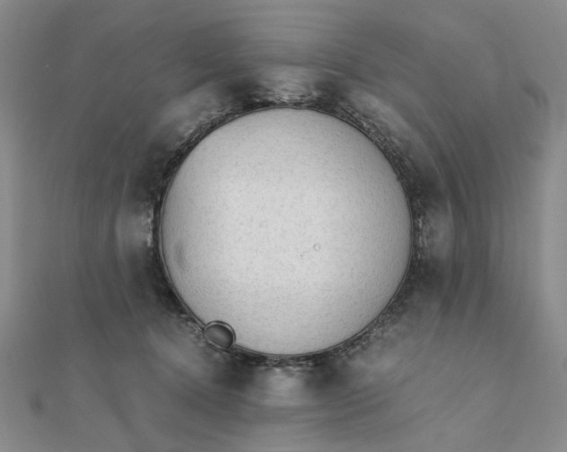 X0000111900368200908101145