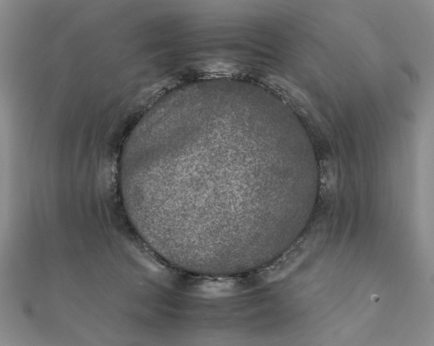 X0000111900369200908101145