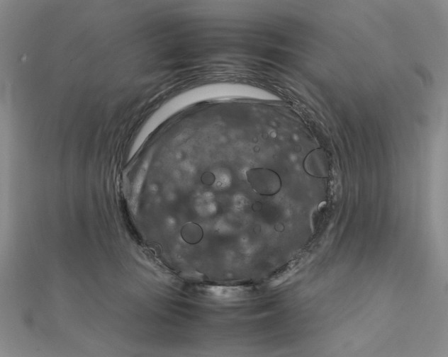 X0000111900371200908101145