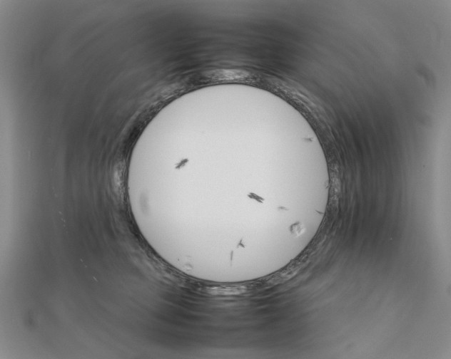 X0000111900373200908101145