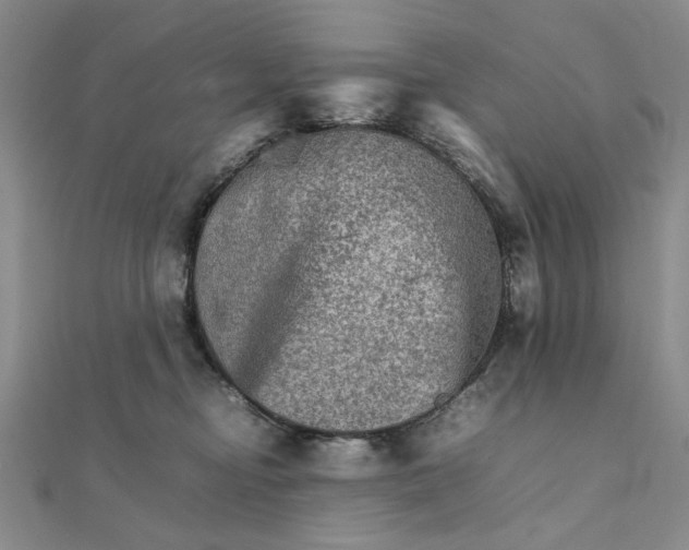 X0000111900374200908101145