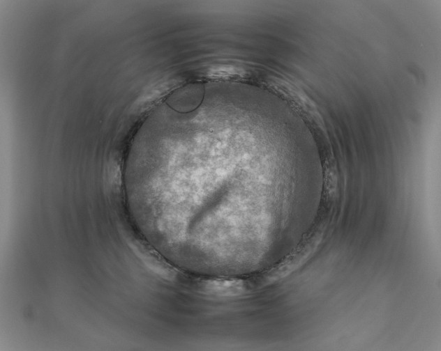 X0000111900375200908101145