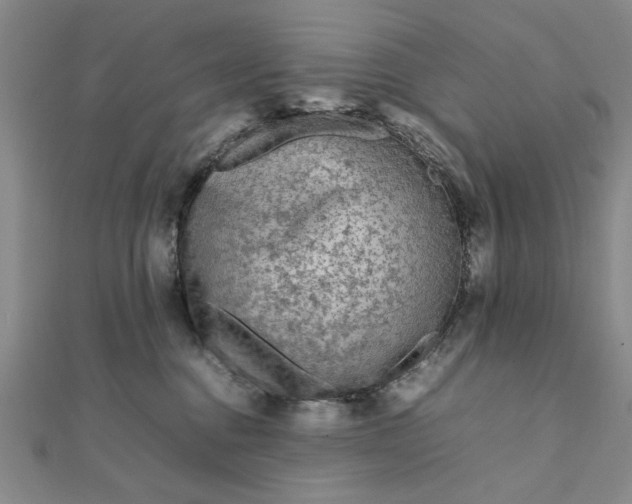 X0000111900376200908101145