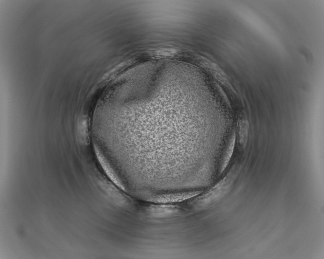 X0000111900378200908101145