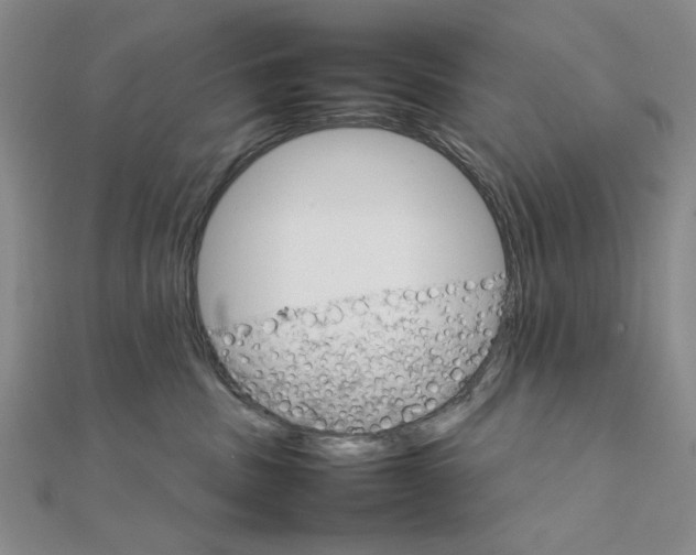 X0000111900379200908101145