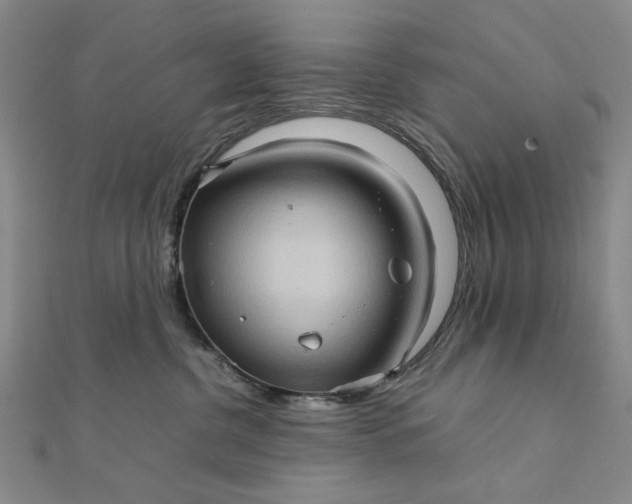 X0000111900380200908101145