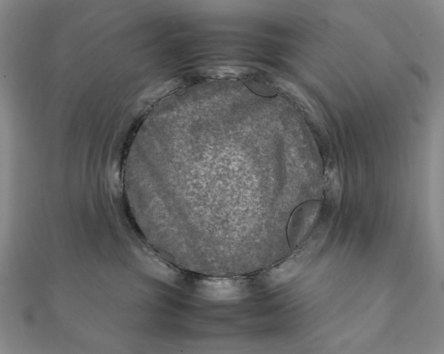 X0000111900381200908101145