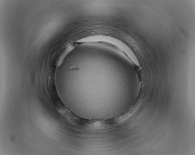 X0000111900382200908101145