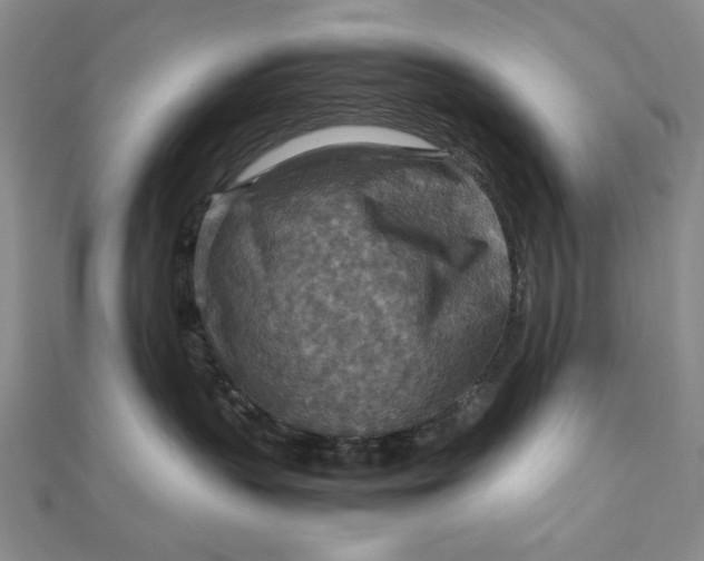 X0000111900383200908101145