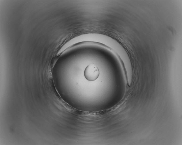 X0000111900384200908101145