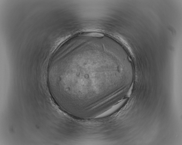 X0000111900385200908101144