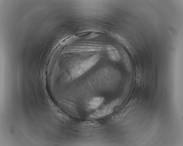 X0000111900386200908101144