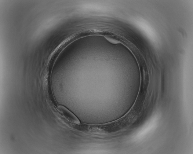 X0000111900387200908101144