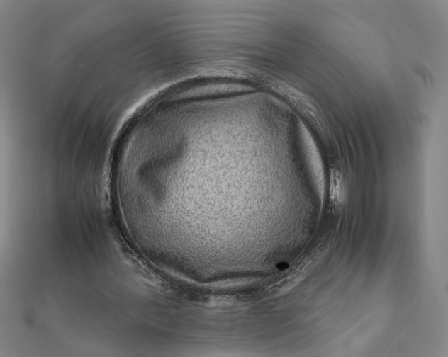 X0000111900388200908101144