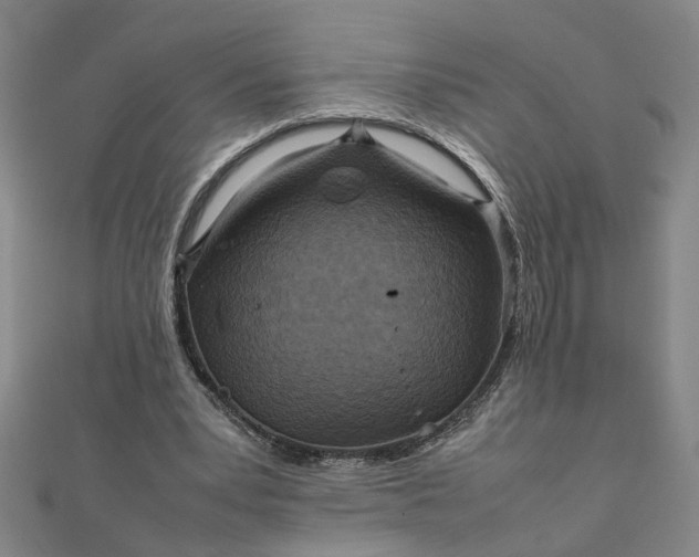 X0000111900391200908101144