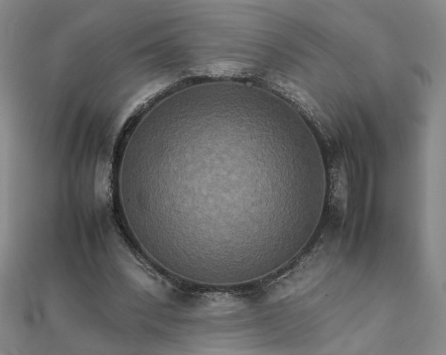 X0000111900392200908101144